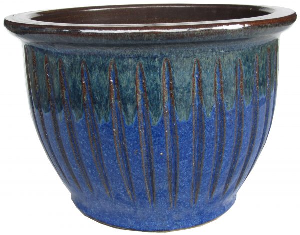 PP-BK-2003026-IMPERIAL BLUE/BROWN